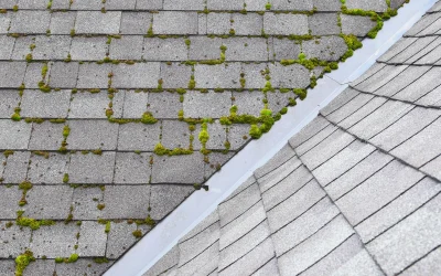 Roof Cleaning 5 Don’t Wait for Fall: Why Roof Cleaning in August Prevents Big Problems