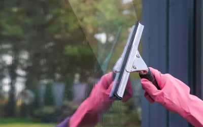 Experience the Magic of Spectacular Views through Sparkling Windows with Wildcat Cleaning & Pressure Washing in Franklin, TN