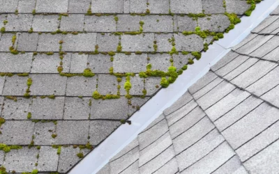 Boost the Value of Your Home: Professional Roof Cleaning Services in Franklin, TN