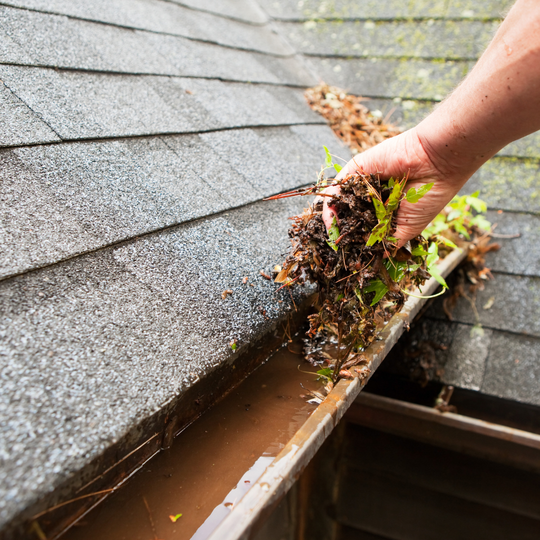 roof cleaning services