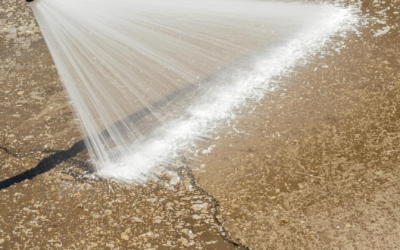 What’s the Best Time of Year to Pressure Wash and Seal a Driveway in Franklin, TN?